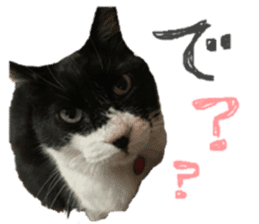 Boss cat "MATUKO" sticker #13496672