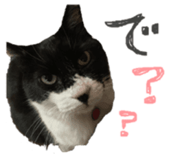 Boss cat "MATUKO" sticker #13496672