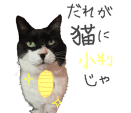 Boss cat "MATUKO" sticker #13496673