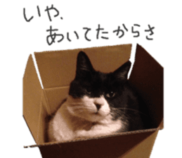 Boss cat "MATUKO" sticker #13496675