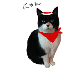 Boss cat "MATUKO" sticker #13496676