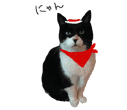 Boss cat "MATUKO" sticker #13496676