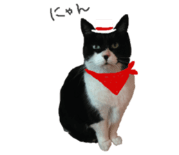 Boss cat "MATUKO" sticker #13496676