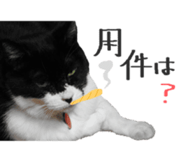 Boss cat "MATUKO" sticker #13496680