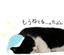 Boss cat "MATUKO" sticker #13496681