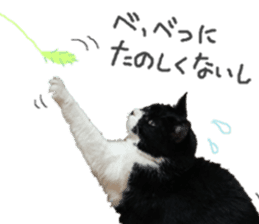 Boss cat "MATUKO" sticker #13496683