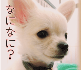 Dear Ritz sticker #13498280