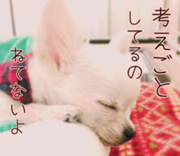 Dear Ritz sticker #13498282