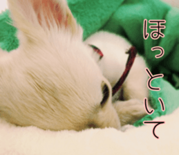 Dear Ritz sticker #13498283