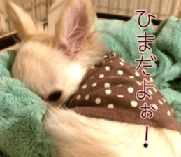 Dear Ritz sticker #13498284