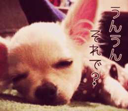 Dear Ritz sticker #13498285