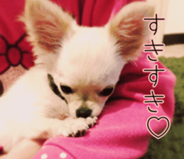 Dear Ritz sticker #13498287