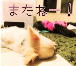 Dear Ritz sticker #13498292