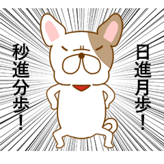 Moving Ugly&Cute Pug