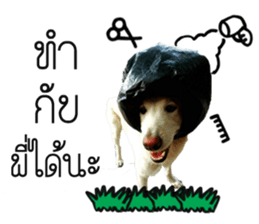 All about dogs lover sticker #13498967