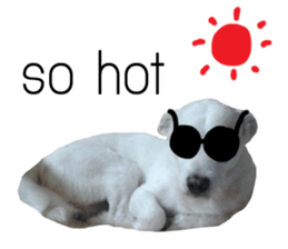 All about dogs lover sticker #13498969