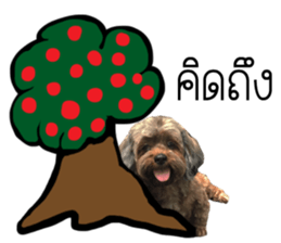 All about dogs lover sticker #13498971