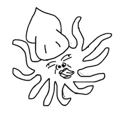 The Irritating Squids