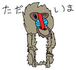 Animals for relaxing chat by Mii-7 sticker #13500537