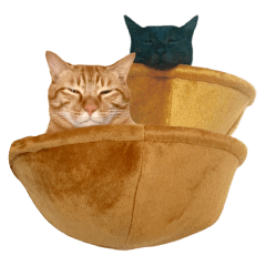 Real cat ! MIKAGE & CHAR sticker