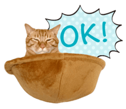 Real cat ! MIKAGE & CHAR sticker sticker #13501302