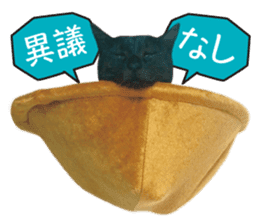 Real cat ! MIKAGE & CHAR sticker sticker #13501308