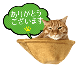 Real cat ! MIKAGE & CHAR sticker sticker #13501312