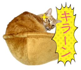 Real cat ! MIKAGE & CHAR sticker sticker #13501320