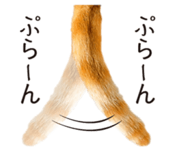 Real cat ! MIKAGE & CHAR sticker sticker #13501334