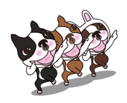 Animated Boston Terrier sticker #13501343