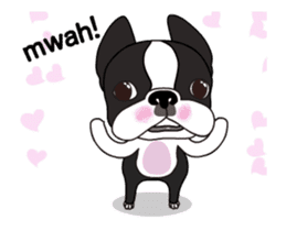 Animated Boston Terrier sticker #13501346