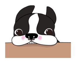 Animated Boston Terrier sticker #13501348