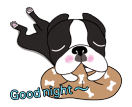 Animated Boston Terrier sticker #13501356