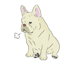 We are French Bulldog. sticker #13501406