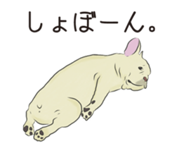 We are French Bulldog. sticker #13501407