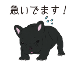 We are French Bulldog. sticker #13501408