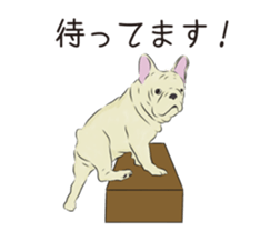 We are French Bulldog. sticker #13501409