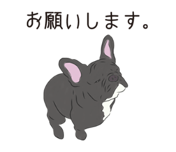 We are French Bulldog. sticker #13501410