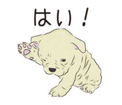 We are French Bulldog. sticker #13501411