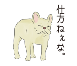 We are French Bulldog. sticker #13501412