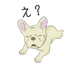 We are French Bulldog. sticker #13501415