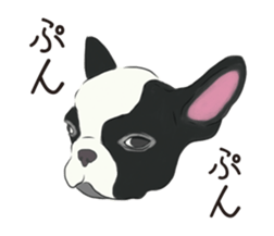 We are French Bulldog. sticker #13501416