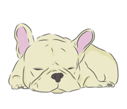 We are French Bulldog. sticker #13501421