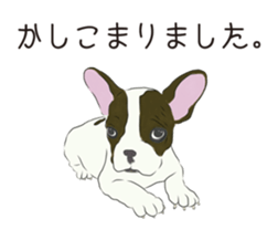 We are French Bulldog. sticker #13501427