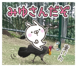 MIYU's basic pack,cute rabbit sticker #13504839