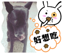 Ah black & puff rabbit sticker #13505279