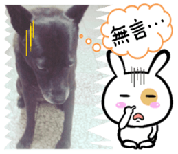 Ah black & puff rabbit sticker #13505283