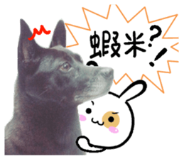 Ah black & puff rabbit sticker #13505284