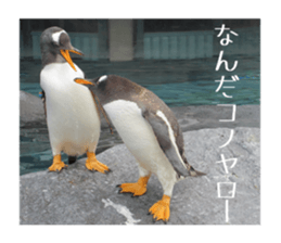 Mellow photograph sticker sticker #13506153