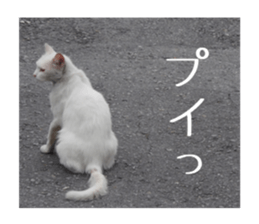 Mellow photograph sticker sticker #13506155